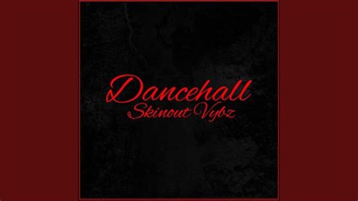 Unveiling the Vibes: Understanding Dancehall Skinout